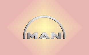 ✓ MAN C301530 Фильтр воздушный 